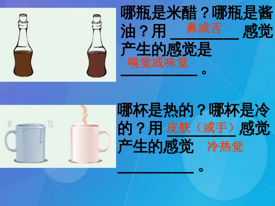 七年级科学下册 2.1《感觉世界》课件3 浙教版_第3页