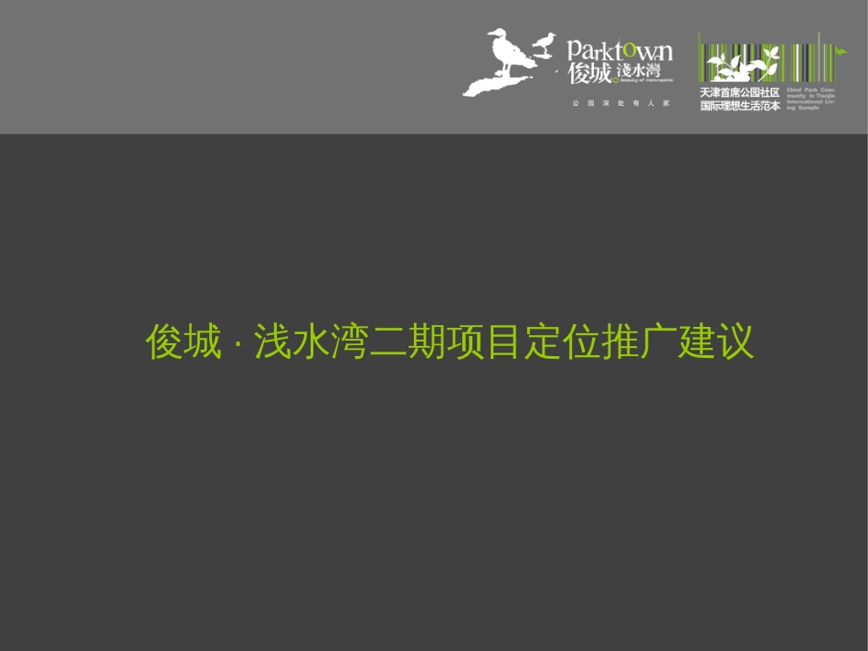 俊城二期定位建议_第1页