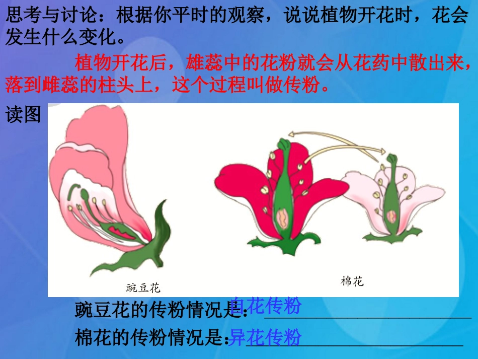 七年级科学下册 1.5《植物生殖方式的多样性》课件3 浙教版_第3页