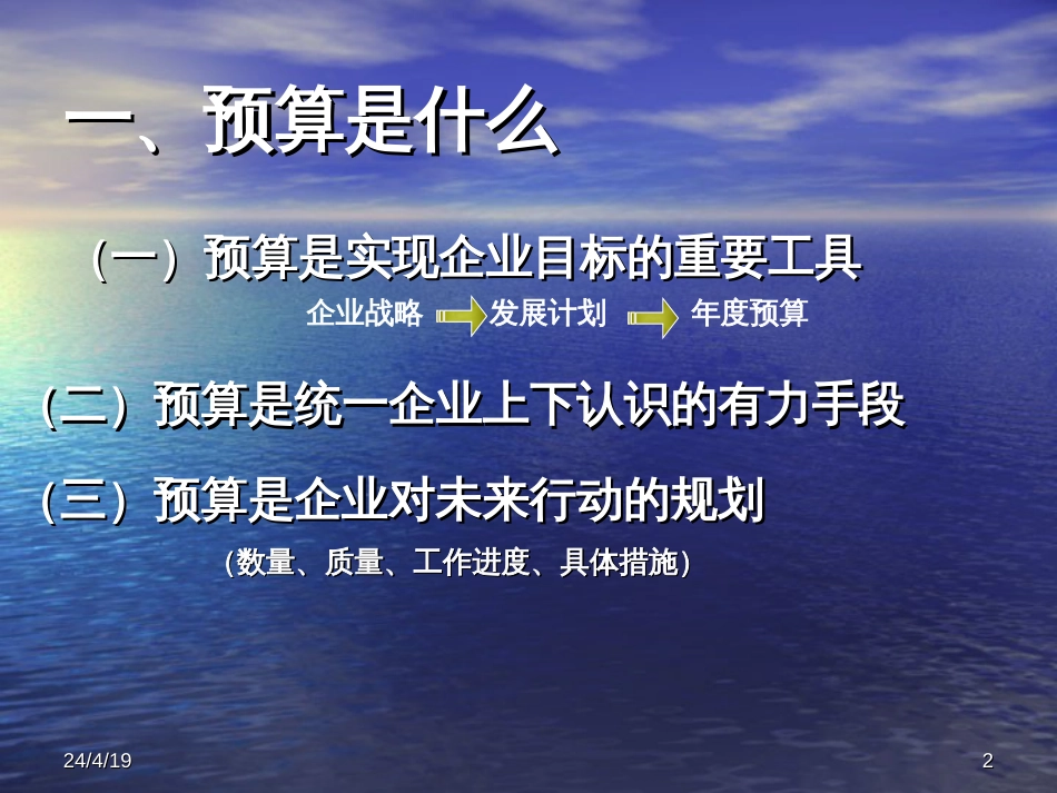 公司预算管理战略与规划[共20页]_第2页