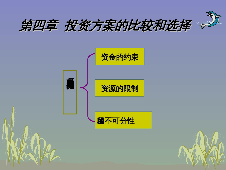 4 项目方案的比较和选择_第1页