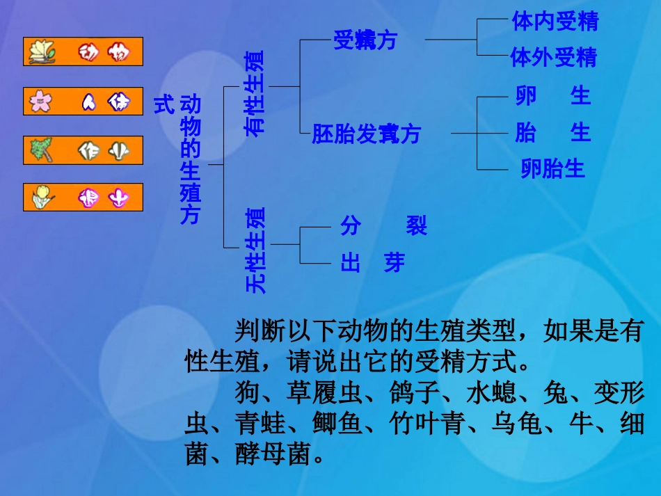 七年级科学下册 第六章《动物和人类和生殖与发育》复习课件 （新版）华东师大版_第2页