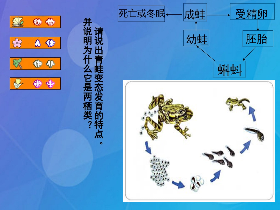 七年级科学下册 第六章《动物和人类和生殖与发育》复习课件 （新版）华东师大版_第3页