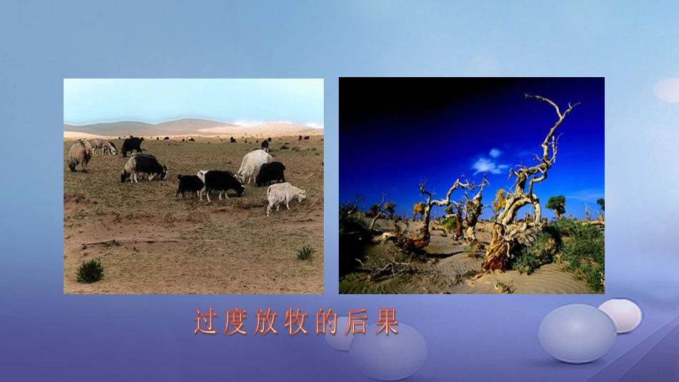 七年级生物下册 4.13.2保护环境——从自身做起课件 苏教版_第3页