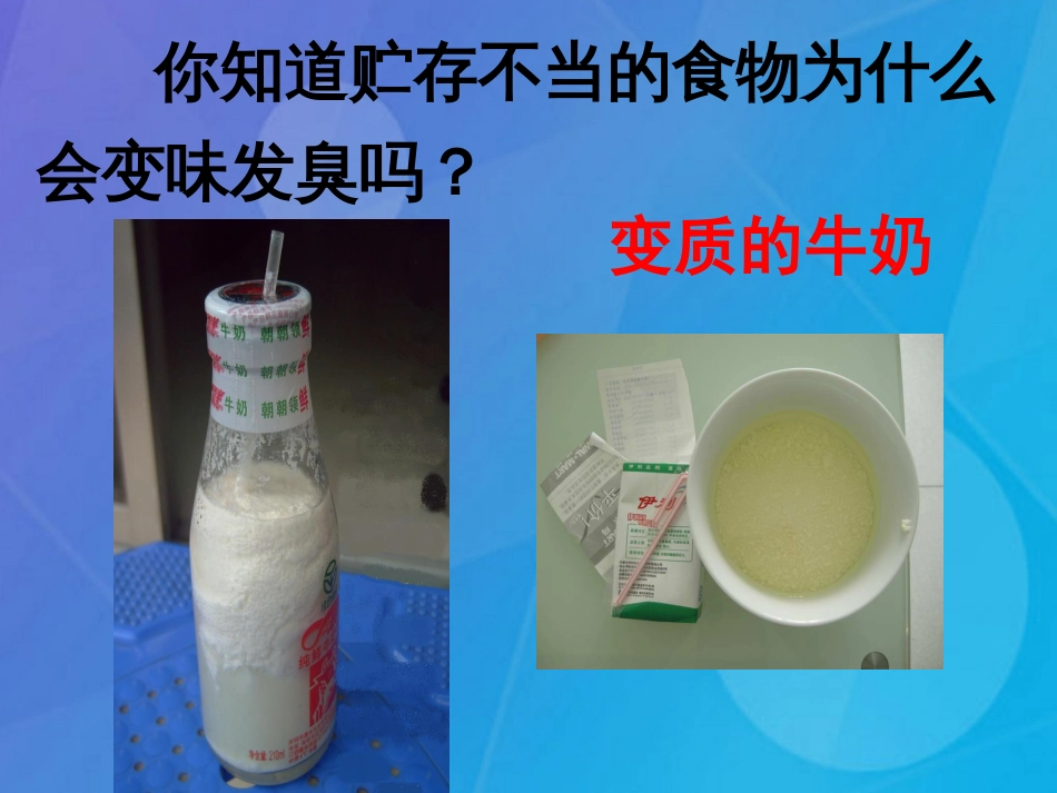 七年级科学下册 1.6《细菌和真菌的繁殖》课件7 浙教版_第2页