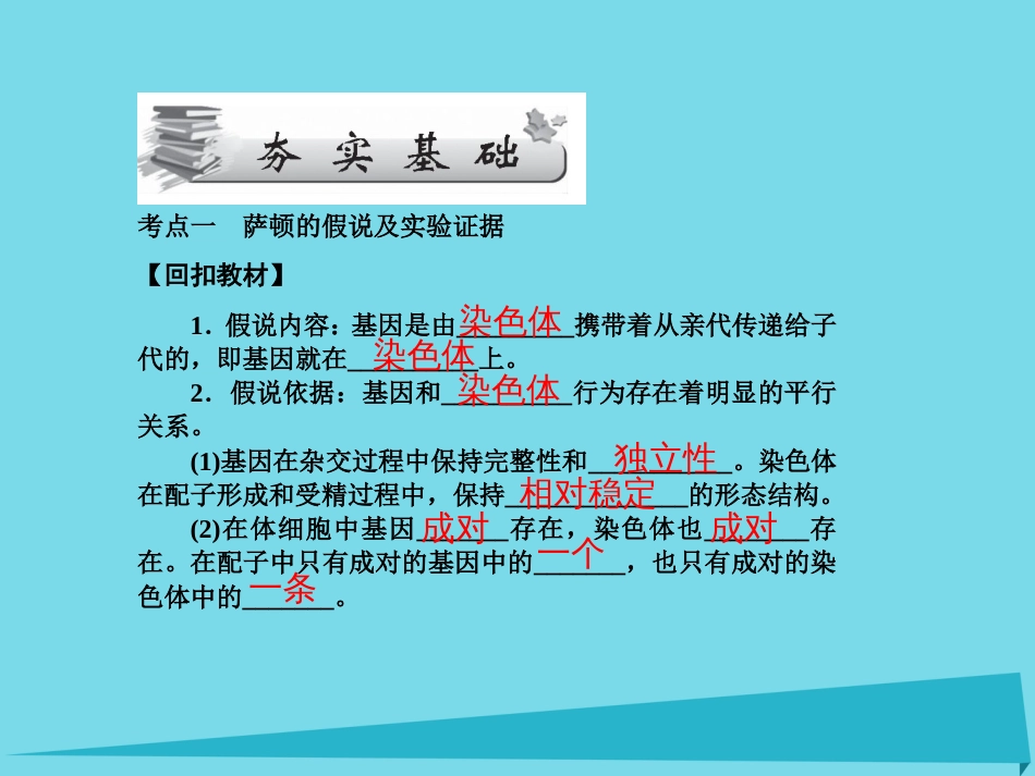 届高考高考生物一轮复习 第二章 基因和染色体的关系（第十九课时）第2、3节 基因在染色体上、伴性遗传课件 新人教版必修_第3页