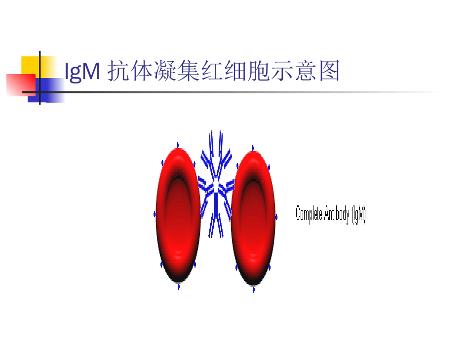 2ABO血型鉴定课件_第3页