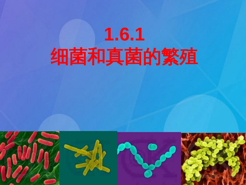 七年级科学下册 1.6《细菌和真菌的繁殖》课件3 浙教版_第3页