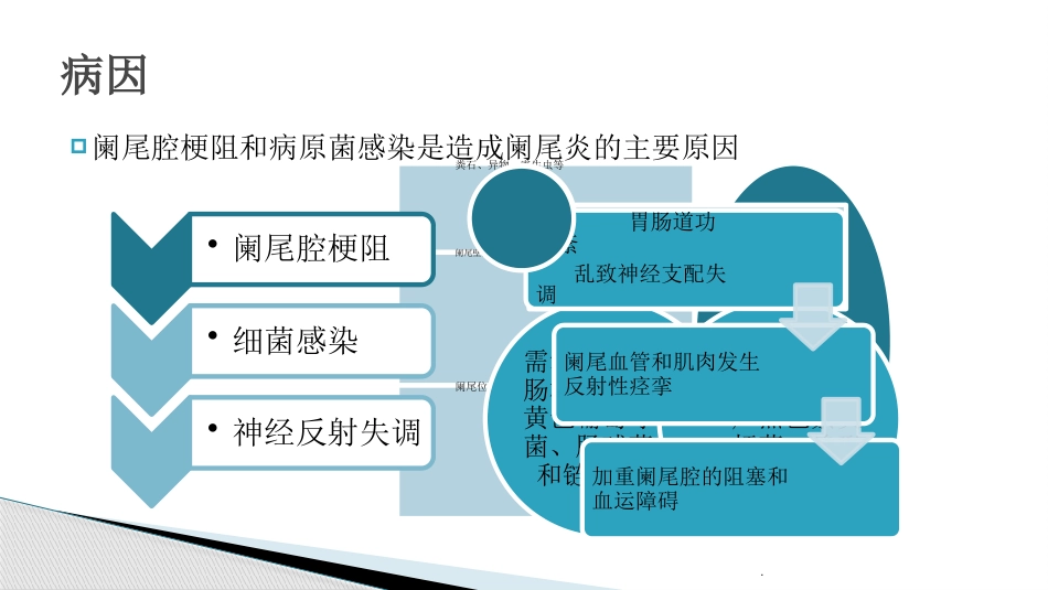 小儿阑尾炎的护理[共14页]_第3页