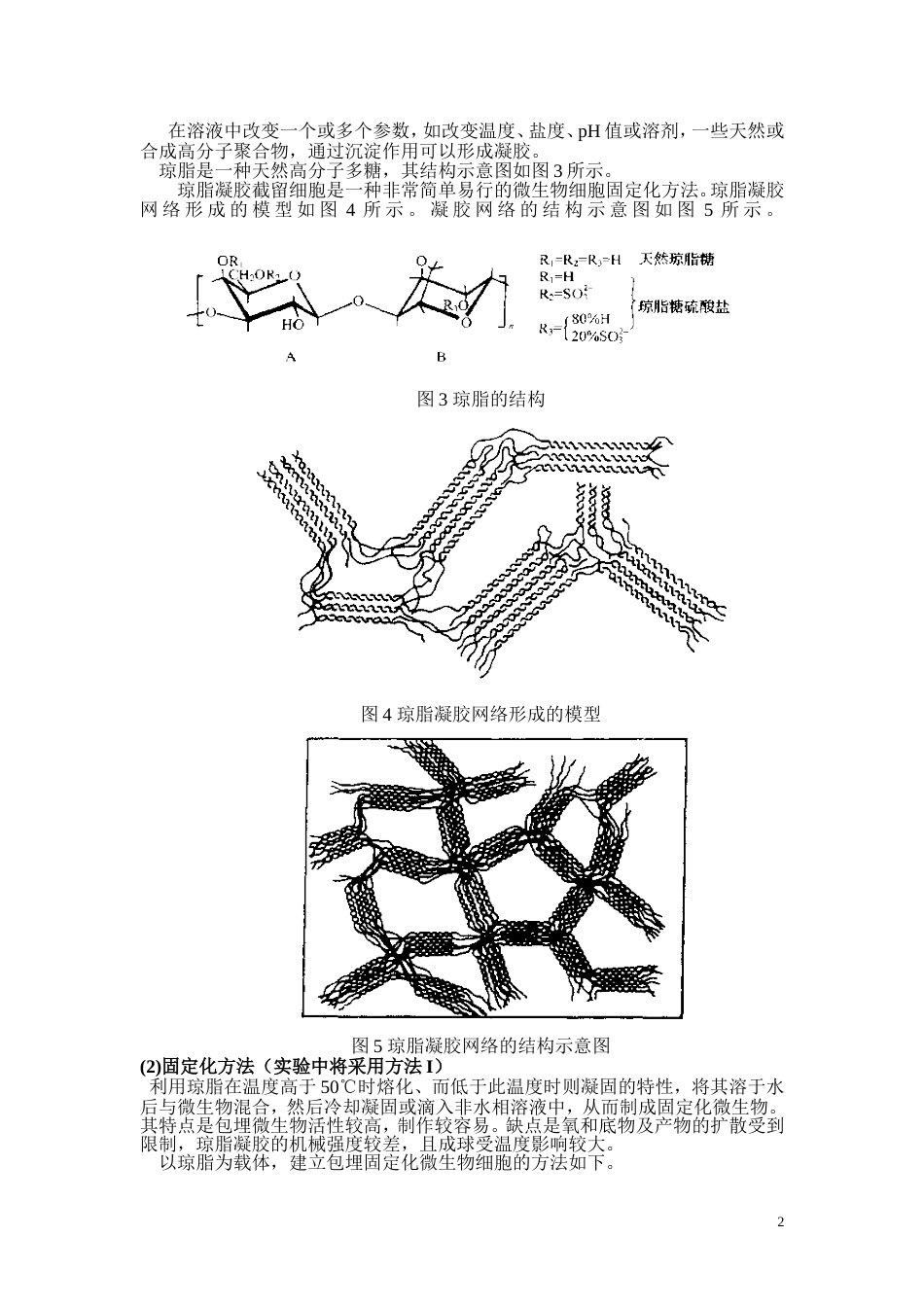 微生物实验[共8页]_第2页