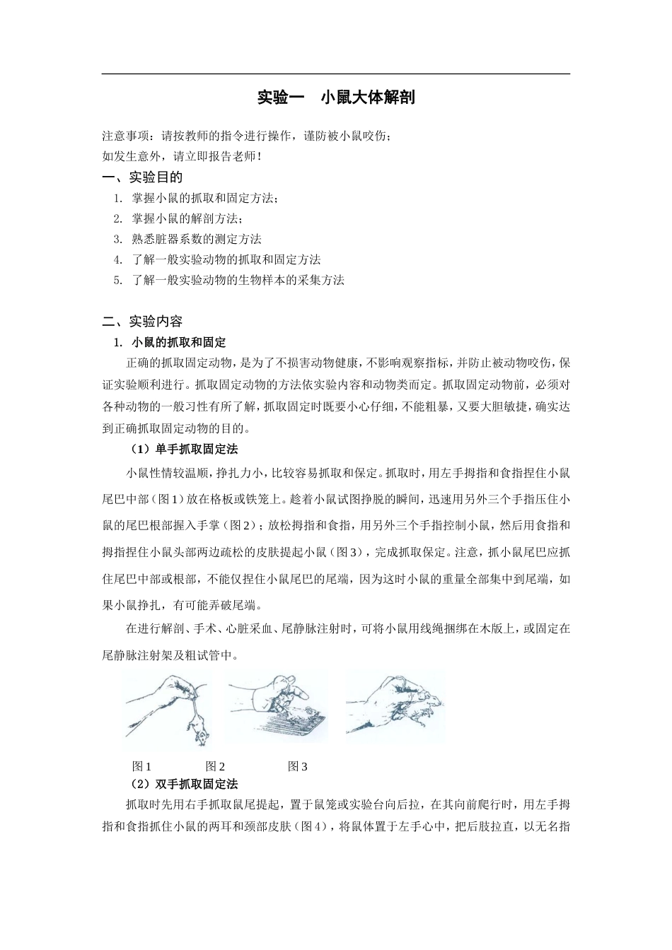 小鼠解剖[共7页]_第1页
