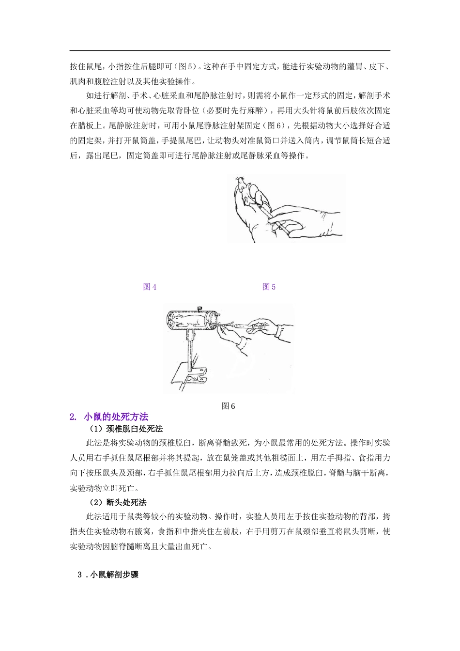 小鼠解剖[共7页]_第2页