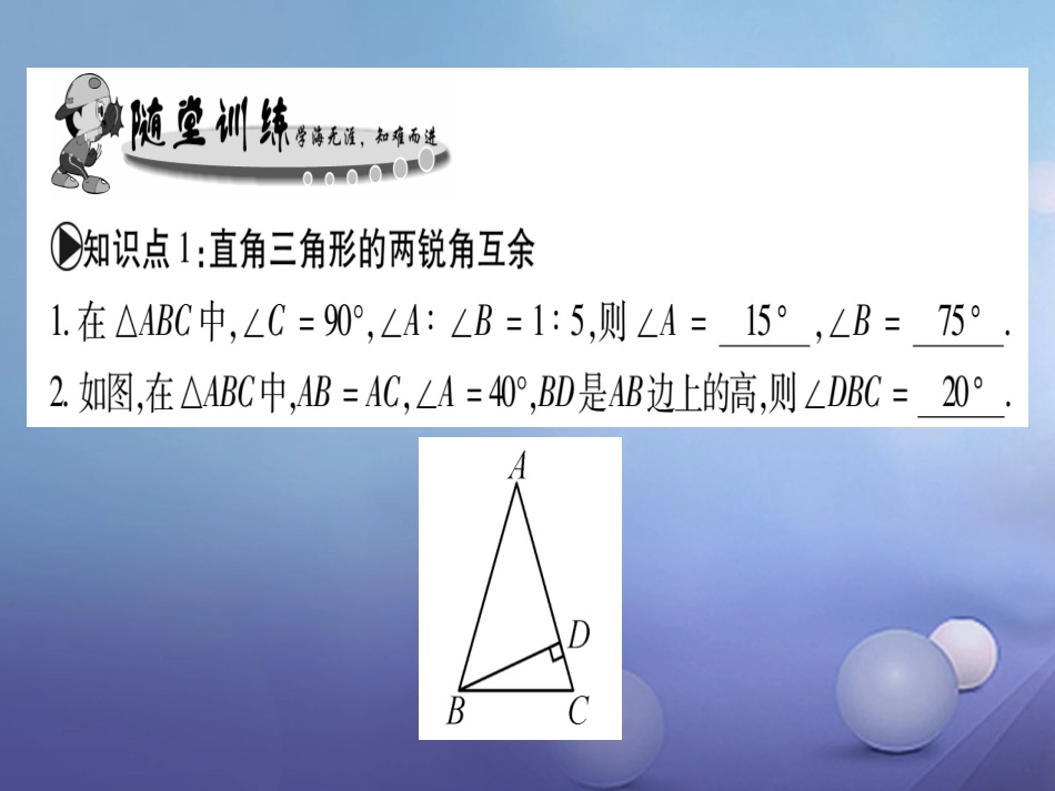 九级数学上册 4. 直角三角形的性质习题课件 （新版）华东师大版_第3页