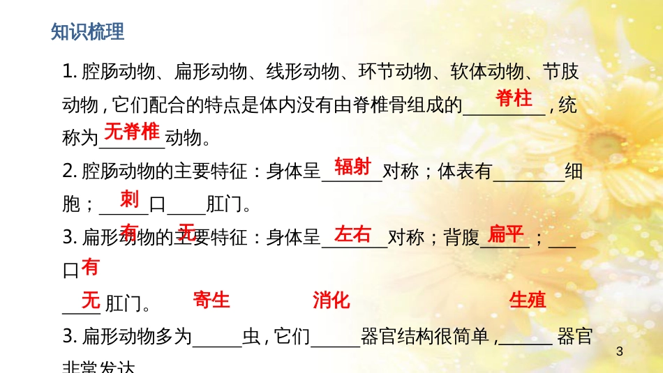 中考生物一轮复习 真菌课件 (22)_第3页