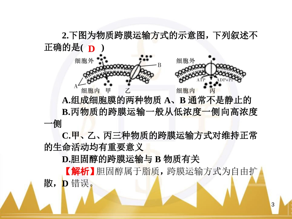 九年级化学上册 绪言 化学使世界变得更加绚丽多彩课件 （新版）新人教版 (12)_第3页