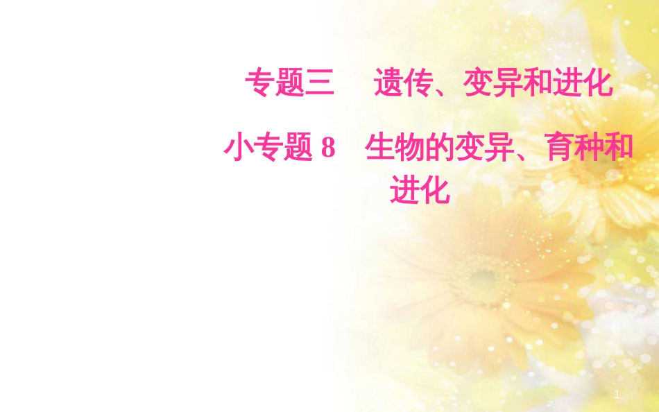 中考数学总复习 专题一 图表信息课件 新人教版 (108)_第1页
