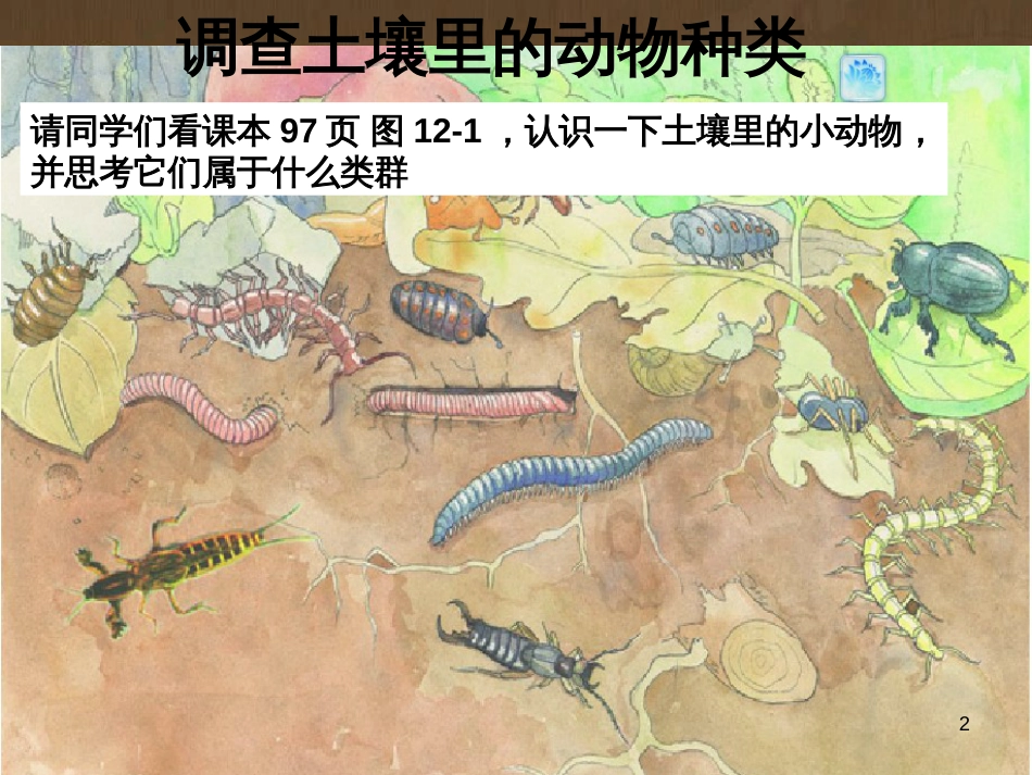 七年级生物下册 第五单元 第13章 土壤的生物 第1节 土壤里的小动物课件2 （新版）苏科版_第2页