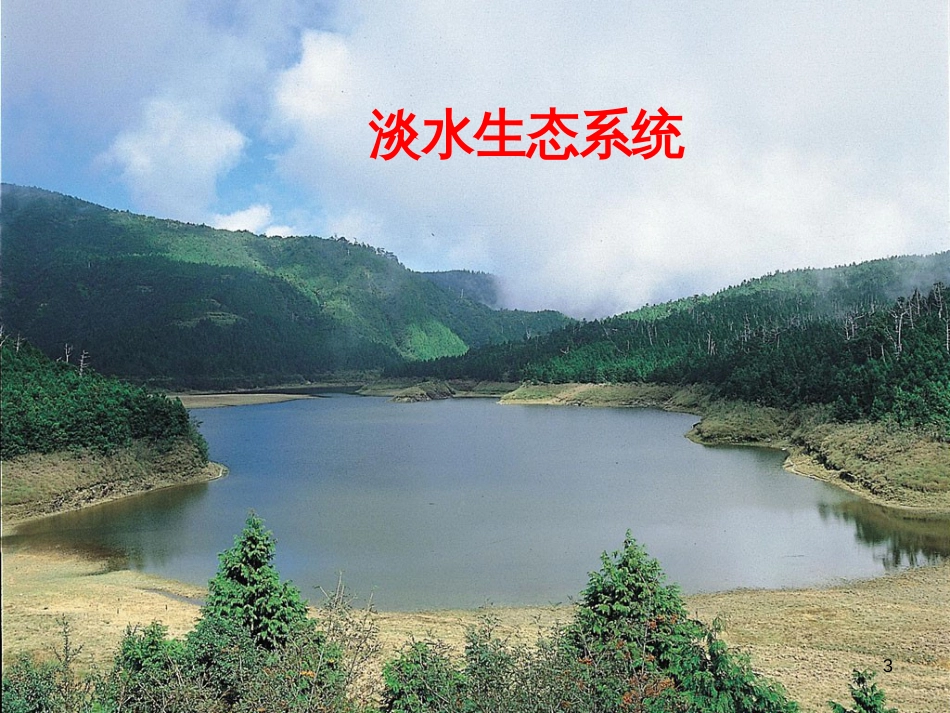 七年级生物上册 第2单元 第3章 生态系统和生物圈课件 （新版）苏科版_第3页