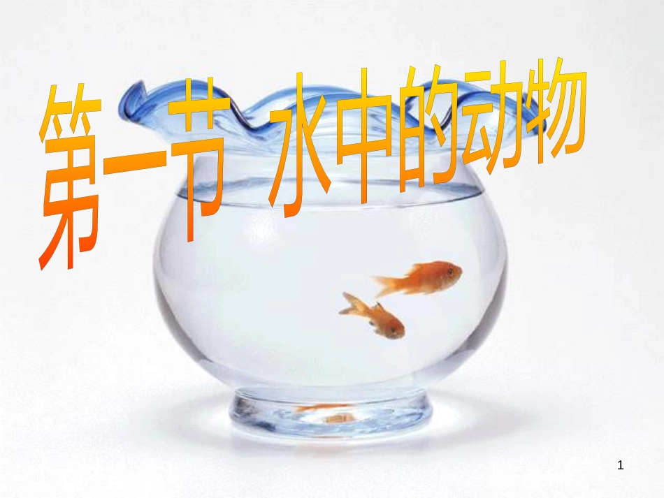 七年级生物下册 第五单元 第10章 水中的生物 第1节 水中的动物课件1 （新版）苏科版_第1页