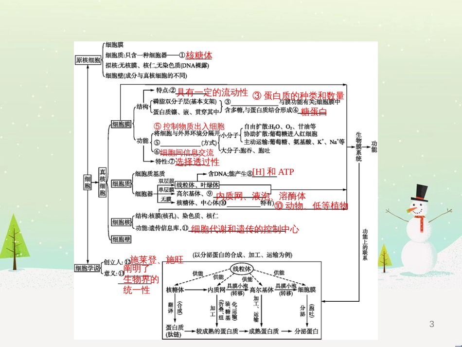 高考生物二轮复习 专题1 细胞的分子组成和结构 1 细胞的分子组成课件 (18)_第3页