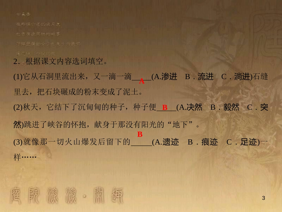 九年级语文下册 第3单元 11 地下森林断想（随堂训练）课件 新人教版_第3页