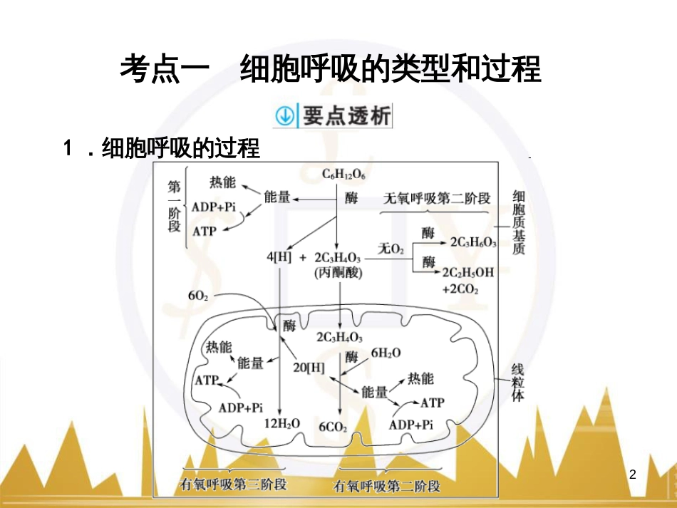 高考语文复习 作文技法点拨 4 议论文论证方法课件 (99)_第2页