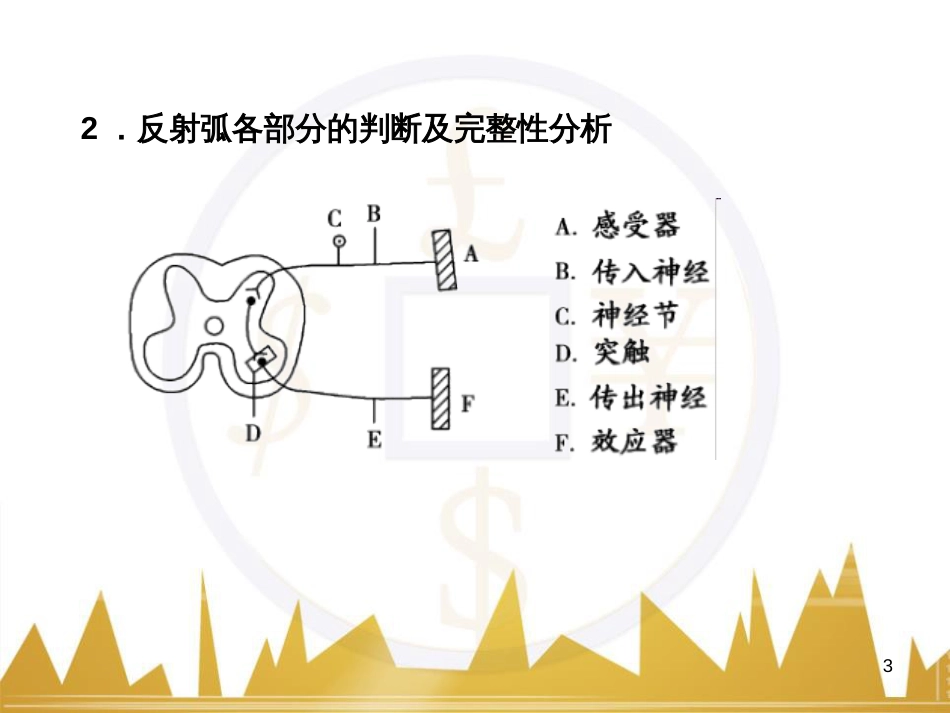 高考语文复习 作文技法点拨 4 议论文论证方法课件 (105)_第3页