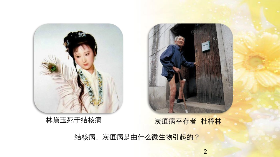中考生物一轮复习 真菌课件 (44)_第2页