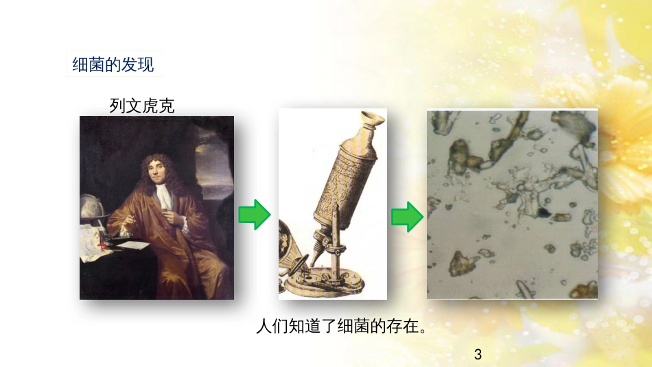 中考生物一轮复习 真菌课件 (44)_第3页