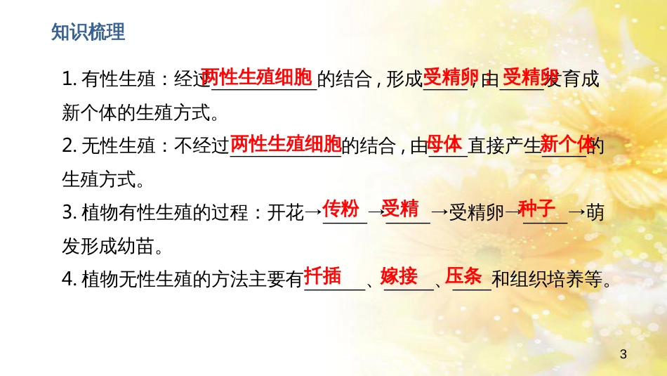 中考生物一轮复习 真菌课件 (31)_第3页