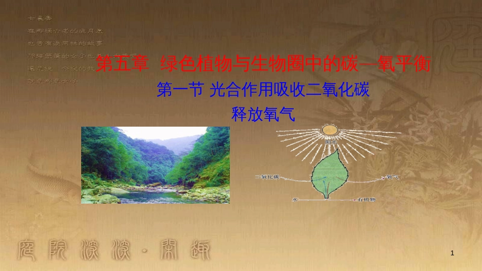 七年级生物上册 第三单元 第五章 第一节《光合作用吸收二氧化碳释放氧气》课件 （新版）新人教版_第1页