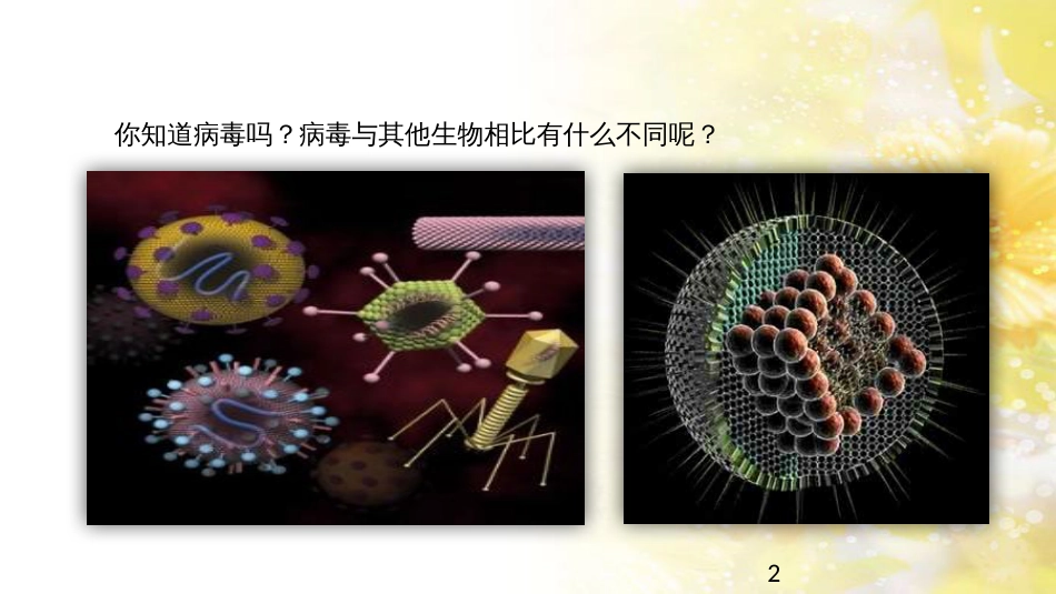中考生物一轮复习 真菌课件 (2)_第2页
