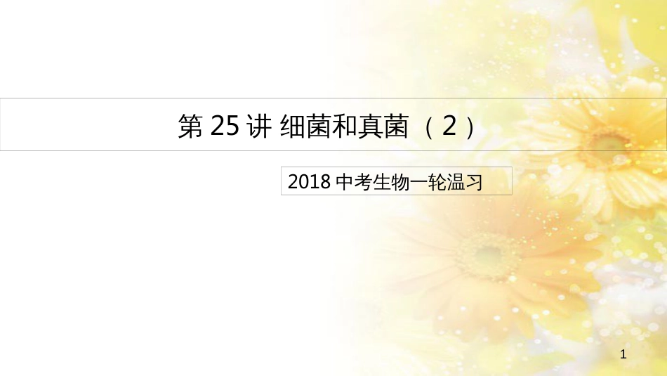 中考生物一轮复习 真菌课件 (27)_第1页