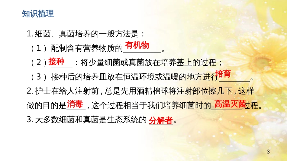 中考生物一轮复习 真菌课件 (27)_第3页