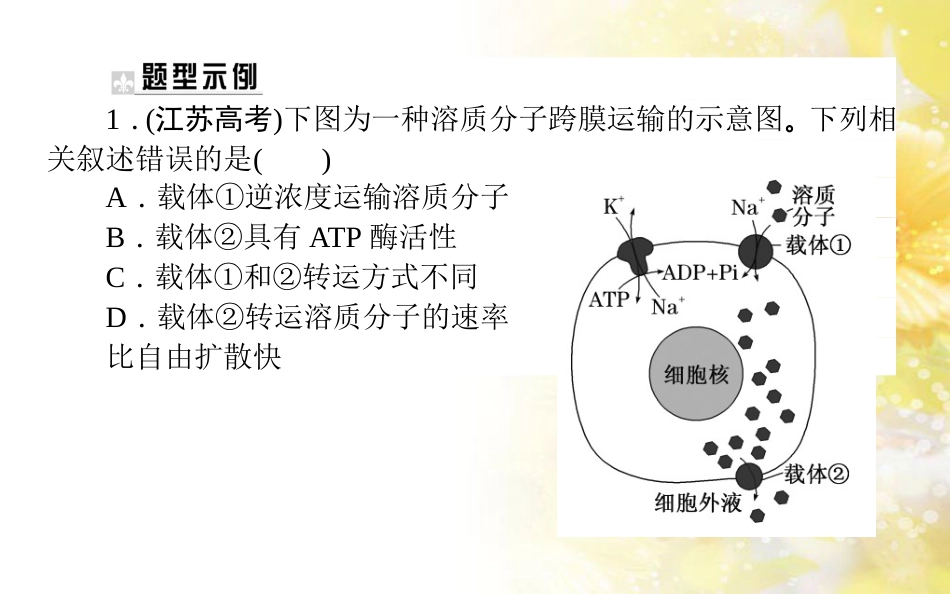 中考数学总复习 专题一 图表信息课件 新人教版 (125)_第2页