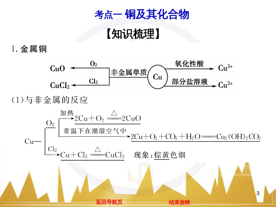 高中语文 异彩纷呈 千姿百态 传记体类举隅 启功传奇课件 苏教版选修《传记选读》 (31)_第3页