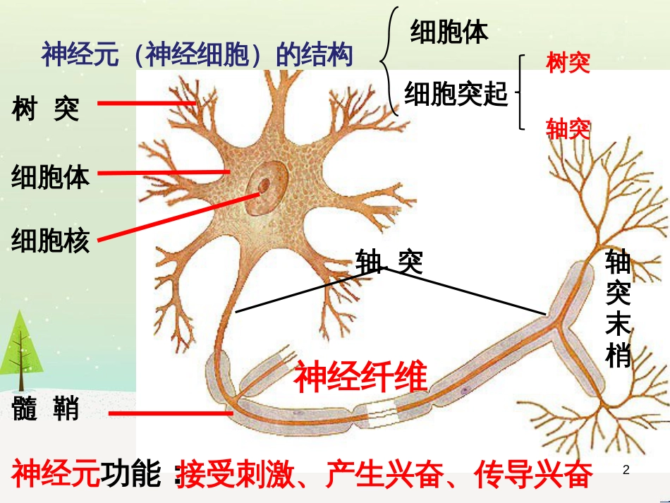 高中地理 第二章 城市与城市化 2.1 城市内部空间结构课件 新人教版必修2 (28)_第2页