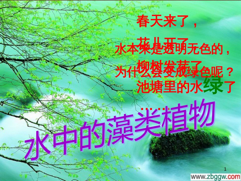 七年级生物下册 第五单元 第10章 水中的生物 第2节 水中的藻类植物课件1 （新版）苏科版_第1页