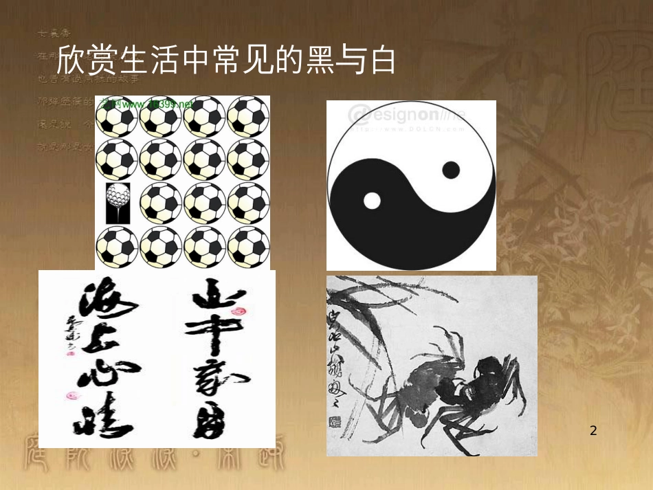 三年级美术上册 第6课 黑与白课件4 新人教版_第2页