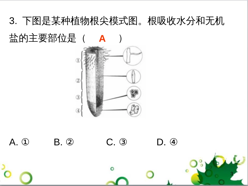 七年级英语上册 周末读写训练 WEEK TWO课件 （新版）人教新目标版 (146)_第3页