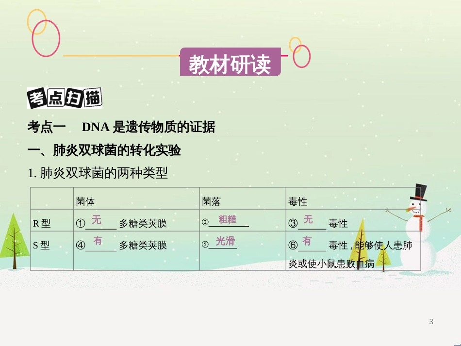 高考生物一轮复习 第八单元 生物的进化（第28课时）生物的进化课件 (31)_第3页