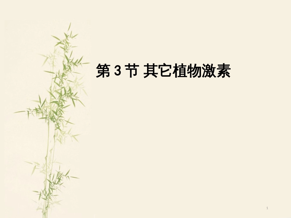 高中地理 第二章 城市与城市化 2.1 城市内部空间结构课件 新人教版必修2 (18)_第1页
