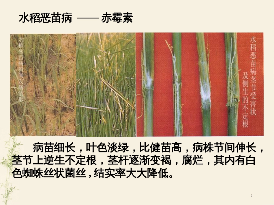 高中地理 第二章 城市与城市化 2.1 城市内部空间结构课件 新人教版必修2 (18)_第3页