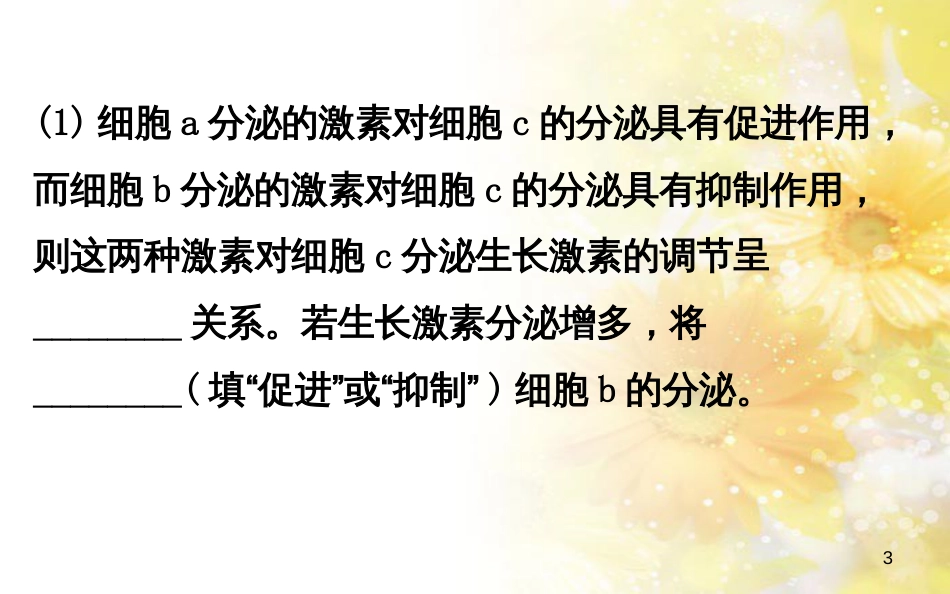 中考数学总复习 专题一 图表信息课件 新人教版 (81)_第3页