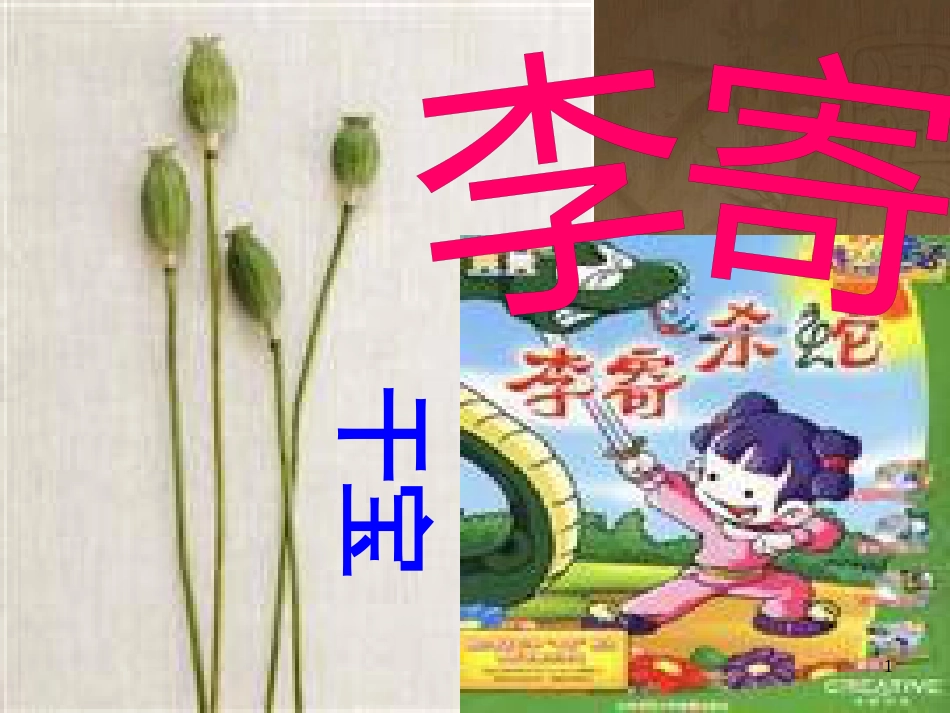 七年级语文上册 第六单元 李寄 狼《李寄》课件 北师大版_第1页