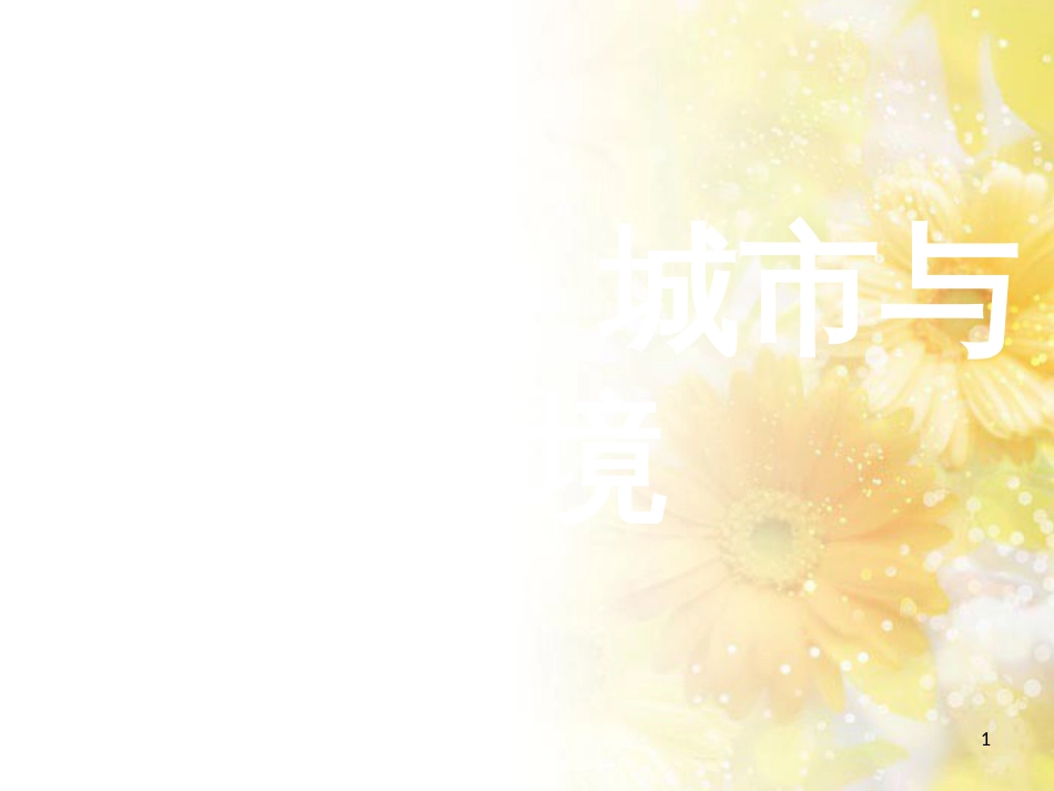 中考数学总复习 专题一 图表信息课件 新人教版 (42)_第1页