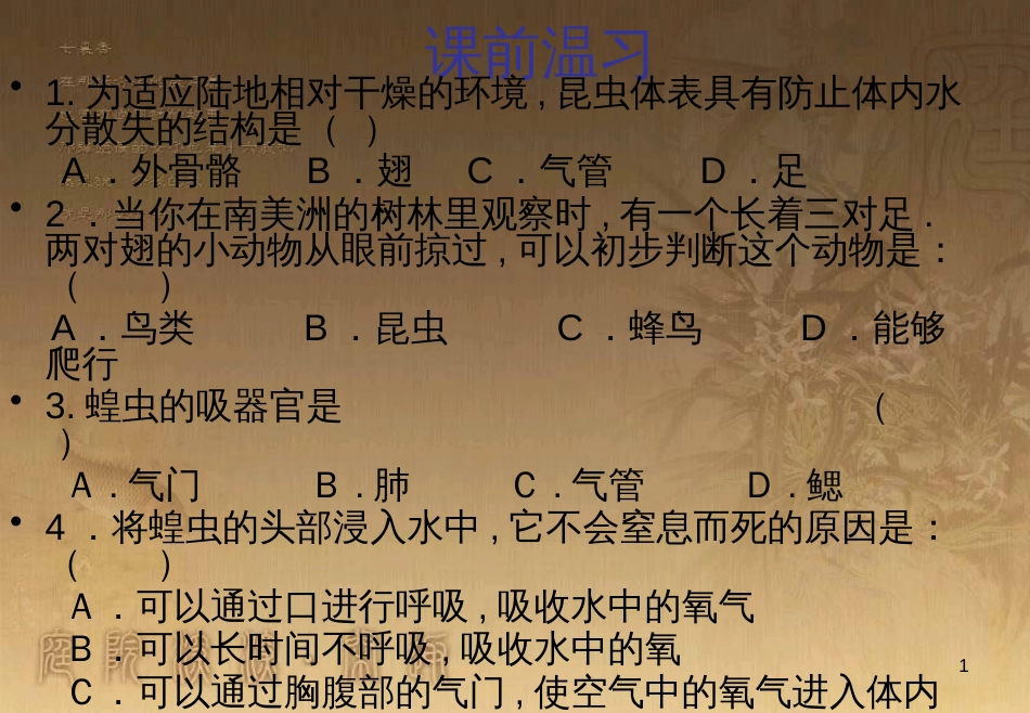 七年级生物下册 第五单元 第13章 土壤的生物 第1节 土壤里的小动物课件1 （新版）苏科版_第1页