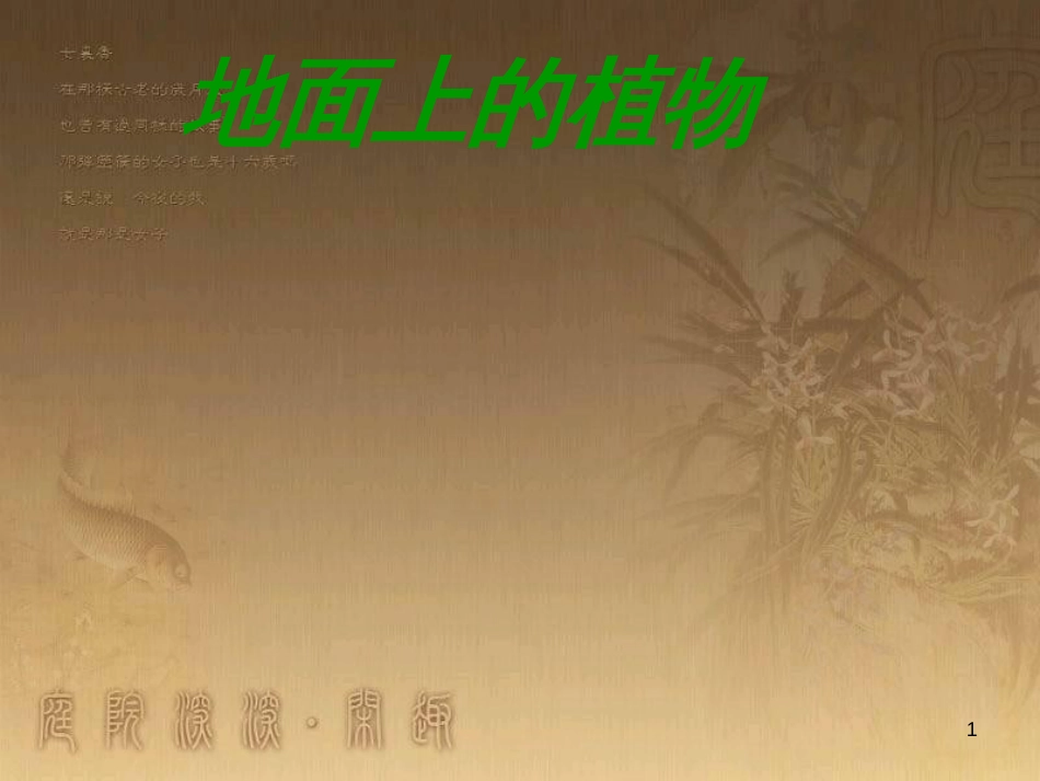 七年级生物下册 第五单元 第11章 地面上的生物 第1节 地面上的植物课件2 （新版）苏科版_第1页