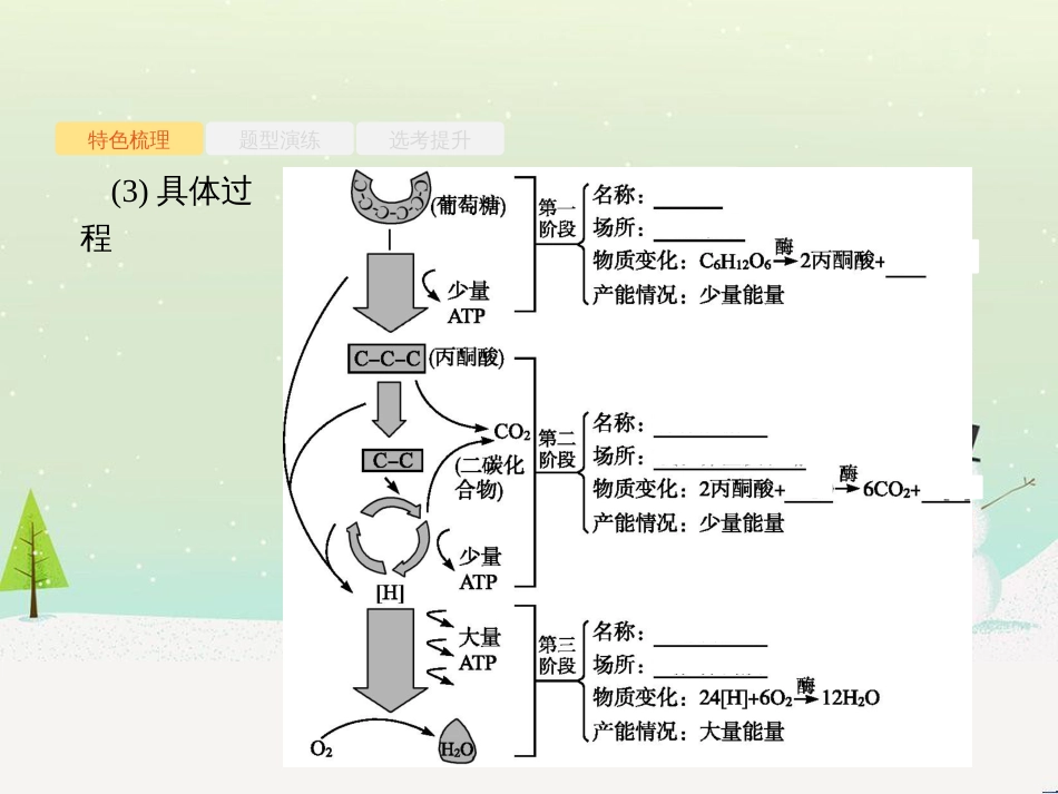 高考化学二轮增分策略 26题专练 有机物的综合应用课件 (31)_第3页