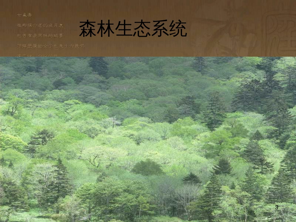 七年级生物上册 1.2.3 生物圈是最大的生态系统课件2 （新版）新人教版_第3页